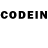 Галлюциногенные грибы GOLDEN TEACHER TANY RH