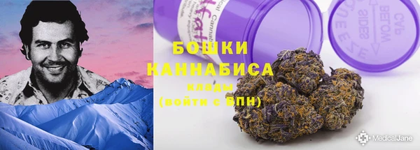 ГАЛЛЮЦИНОГЕННЫЕ ГРИБЫ Алексин