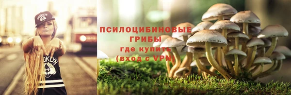 шишки Мегион