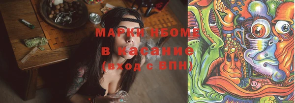 ГАЛЛЮЦИНОГЕННЫЕ ГРИБЫ Алексин